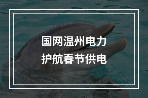 国网温州电力护航春节供电