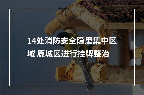 14处消防安全隐患集中区域 鹿城区进行挂牌整治