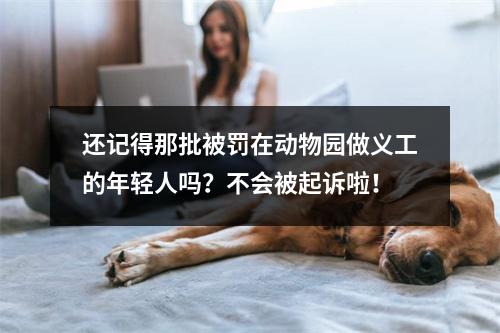 还记得那批被罚在动物园做义工的年轻人吗？不会被起诉啦！