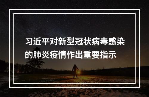 习近平对新型冠状病毒感染的肺炎疫情作出重要指示