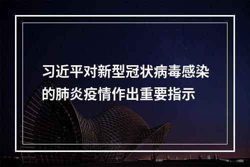 习近平对新型冠状病毒感染的肺炎疫情作出重要指示