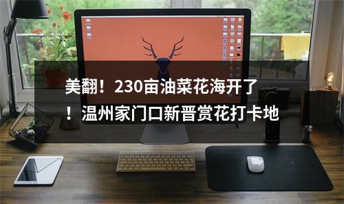 美翻！230亩油菜花海开了！温州家门口新晋赏花打卡地