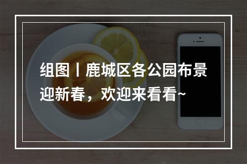 组图丨鹿城区各公园布景迎新春，欢迎来看看~