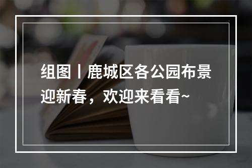 组图丨鹿城区各公园布景迎新春，欢迎来看看~