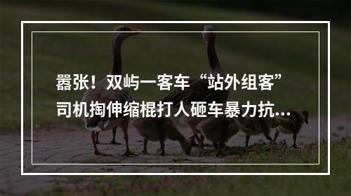 嚣张！双屿一客车“站外组客” 司机掏伸缩棍打人砸车暴力抗法
