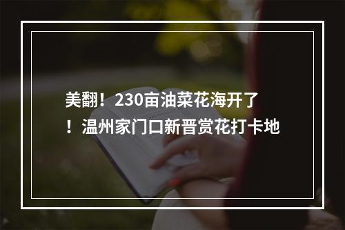 美翻！230亩油菜花海开了！温州家门口新晋赏花打卡地