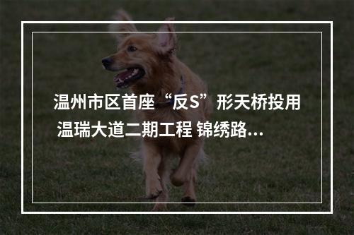 温州市区首座“反S”形天桥投用 温瑞大道二期工程 锦绣路-温迪路 西半幅竣工投用