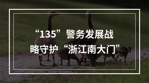 “135”警务发展战略守护“浙江南大门”