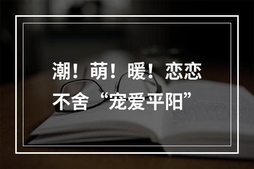 潮！萌！暖！恋恋不舍“宠爱平阳”