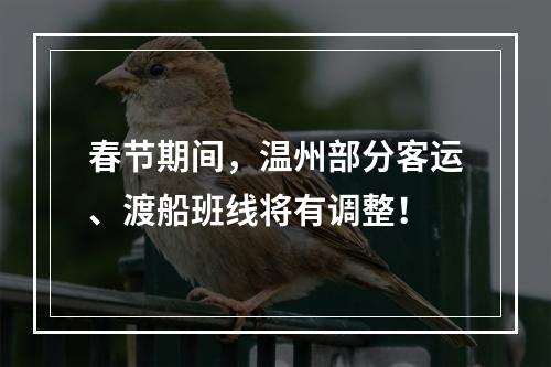 春节期间，温州部分客运、渡船班线将有调整！