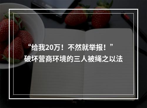 “给我20万！不然就举报！”破坏营商环境的三人被绳之以法
