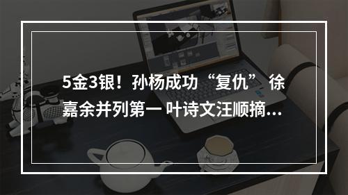 5金3银！孙杨成功“复仇” 徐嘉余并列第一 叶诗文汪顺摘银