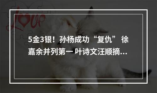 5金3银！孙杨成功“复仇” 徐嘉余并列第一 叶诗文汪顺摘银