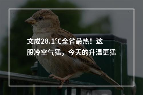 文成28.1℃全省最热！这股冷空气猛，今天的升温更猛
