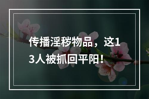 传播淫秽物品，这13人被抓回平阳！