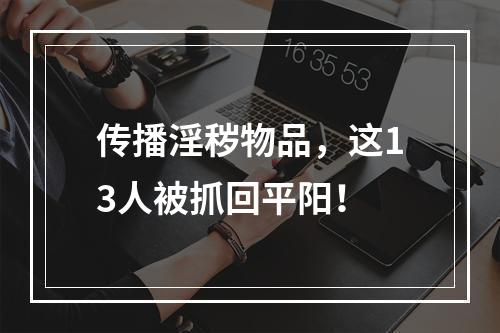 传播淫秽物品，这13人被抓回平阳！