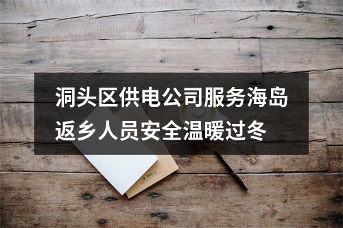 洞头区供电公司服务海岛返乡人员安全温暖过冬