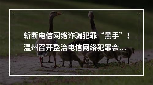 斩断电信网络诈骗犯罪“黑手”！温州召开整治电信网络犯罪会议
