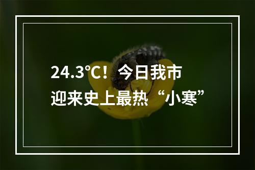 24.3℃！今日我市迎来史上最热“小寒”
