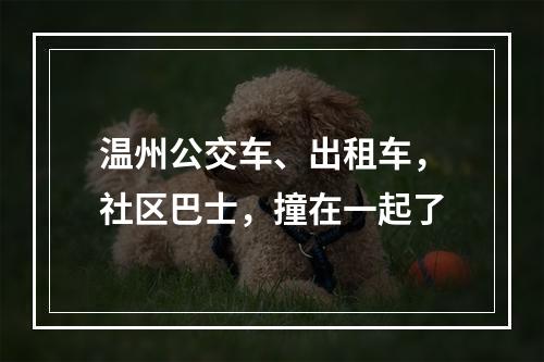温州公交车、出租车，社区巴士，撞在一起了