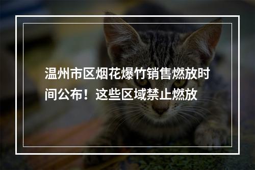 温州市区烟花爆竹销售燃放时间公布！这些区域禁止燃放