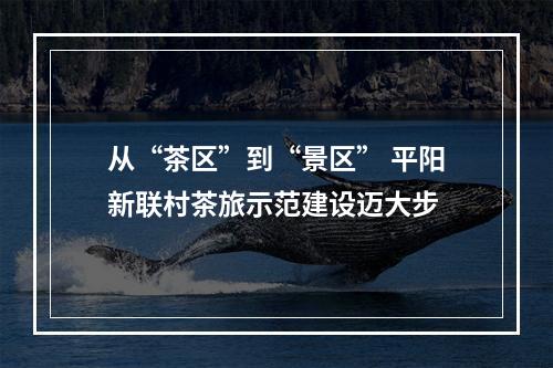 从“茶区”到“景区” 平阳新联村茶旅示范建设迈大步