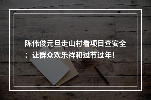 陈伟俊元旦走山村看项目查安全：让群众欢乐祥和过节过年！