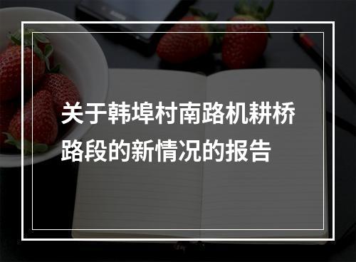 关于韩埠村南路机耕桥路段的新情况的报告