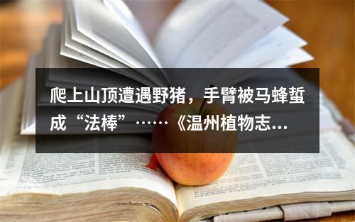 爬上山顶遭遇野猪，手臂被马蜂蜇成“法棒”……《温州植物志》和温州的植物 ...