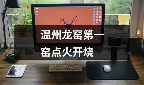 温州龙窑第一窑点火开烧