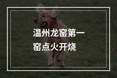 温州龙窑第一窑点火开烧