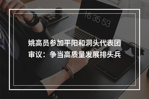 姚高员参加平阳和洞头代表团审议：争当高质量发展排头兵