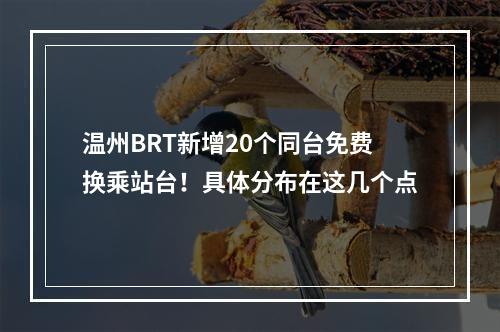 温州BRT新增20个同台免费换乘站台！具体分布在这几个点
