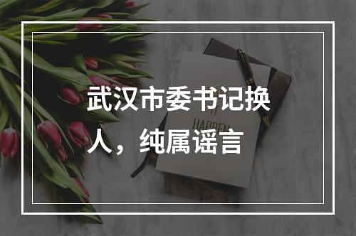 武汉市委书记换人，纯属谣言