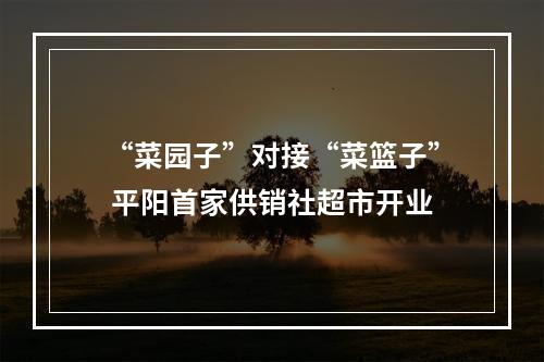 “菜园子”对接“菜篮子” 平阳首家供销社超市开业