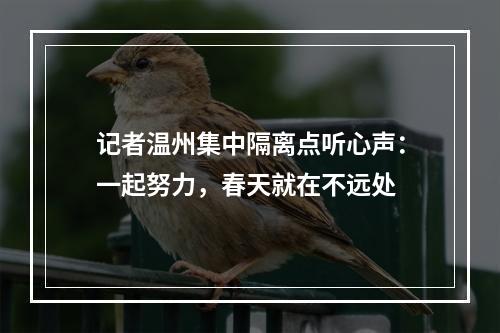 记者温州集中隔离点听心声：一起努力，春天就在不远处