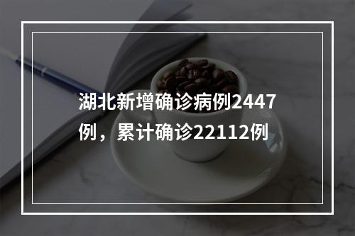 湖北新增确诊病例2447例，累计确诊22112例