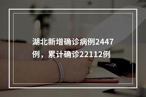 湖北新增确诊病例2447例，累计确诊22112例