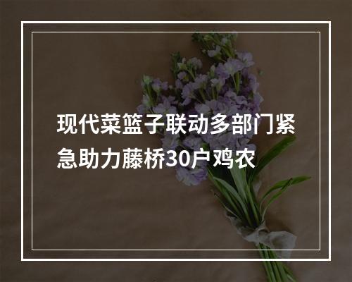 现代菜篮子联动多部门紧急助力藤桥30户鸡农
