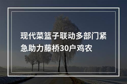 现代菜篮子联动多部门紧急助力藤桥30户鸡农