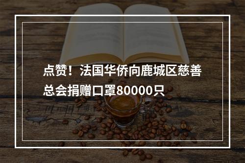 点赞！法国华侨向鹿城区慈善总会捐赠口罩80000只