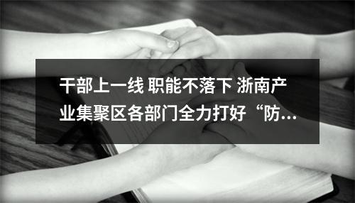 干部上一线 职能不落下 浙南产业集聚区各部门全力打好“防疫战”