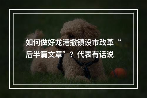 如何做好龙港撤镇设市改革“后半篇文章”？代表有话说