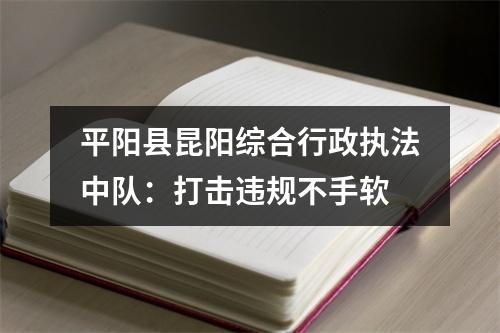 平阳县昆阳综合行政执法中队：打击违规不手软