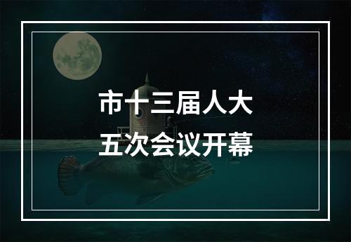 市十三届人大五次会议开幕