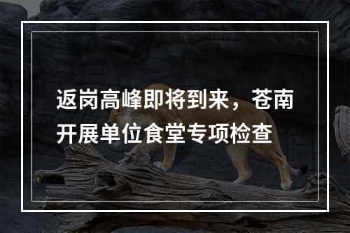 返岗高峰即将到来，苍南开展单位食堂专项检查