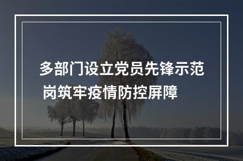 多部门设立党员先锋示范 岗筑牢疫情防控屏障