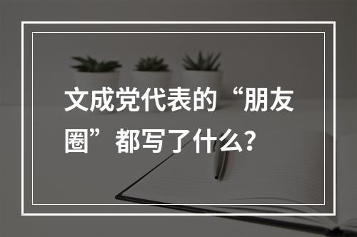 文成党代表的“朋友圈”都写了什么？