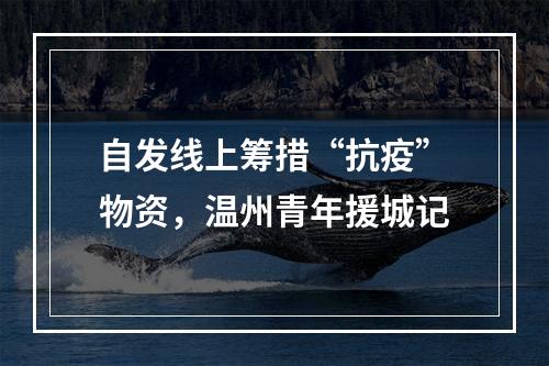 自发线上筹措“抗疫”物资，温州青年援城记