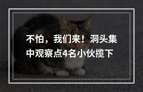 不怕，我们来！洞头集中观察点4名小伙揽下